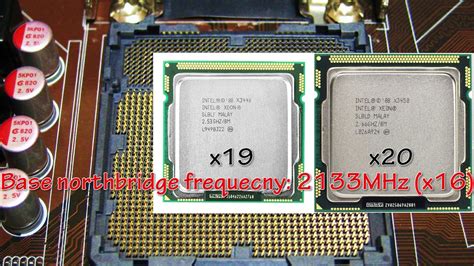 intel socket 1156 processors.